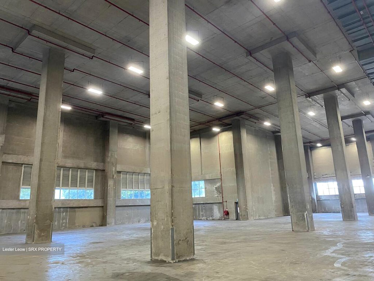 Benoi Crescent (D22), Warehouse #484959981